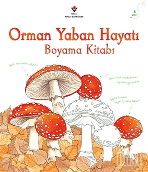 Orman Yaban Hayatı Boyama Kitabı